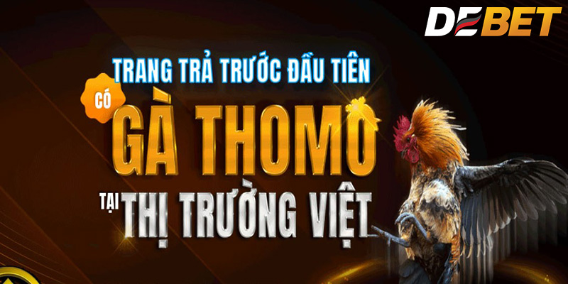 Phát triển kỹ năng tư duy